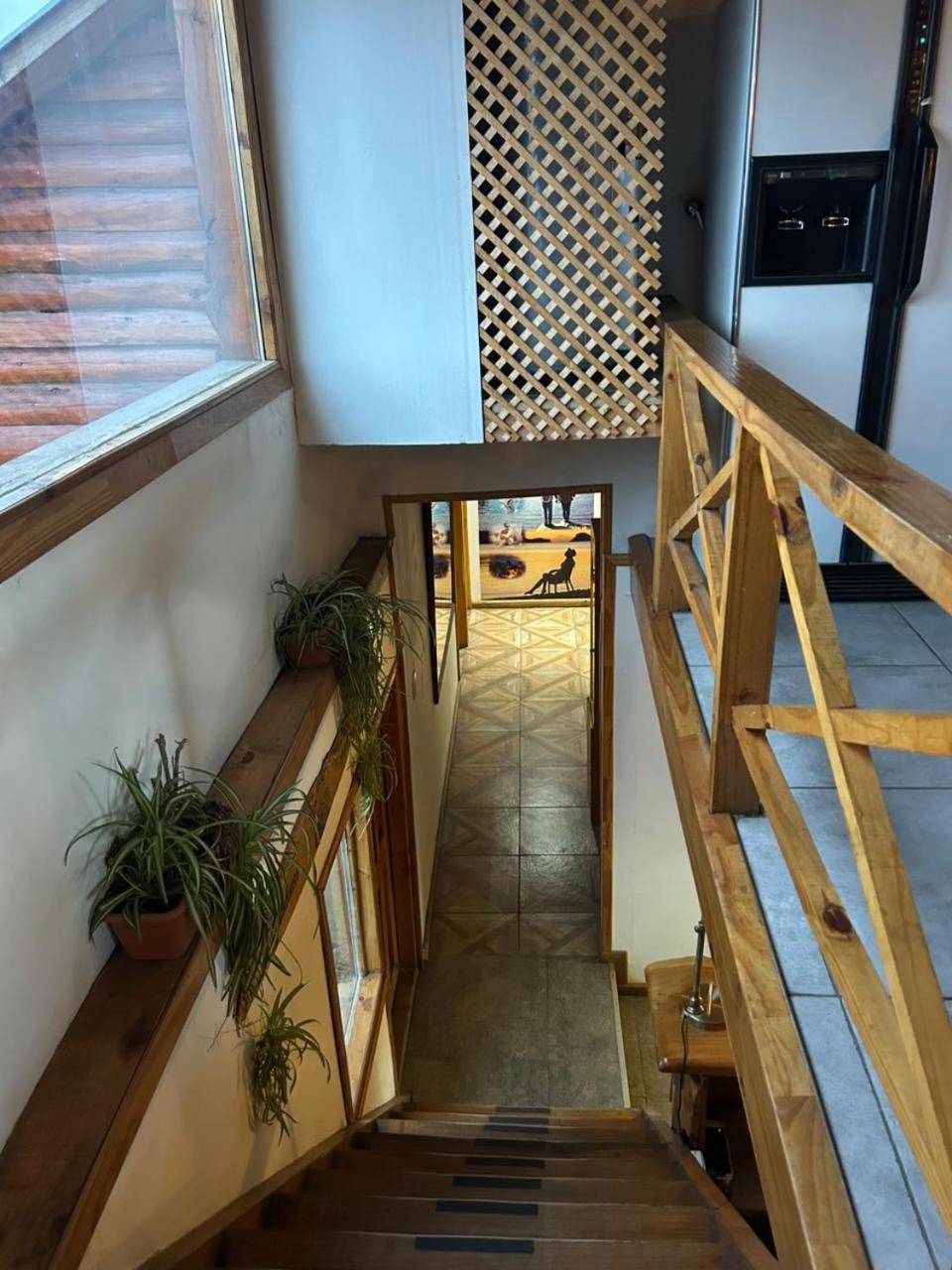 Hostel Andino Villa Pehuenia Zewnętrze zdjęcie